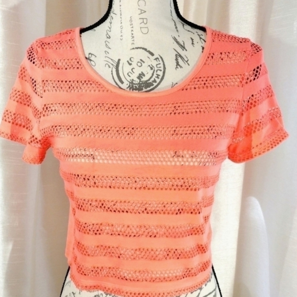 Bebe Net Crop Top 2B Bebe